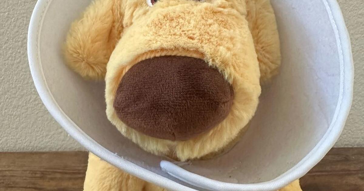 Disney Pixar Up Dug With Cone of Shame Stuffed Animal for 15 in Trabuco Canyon CA For Sale Free Nextdoor