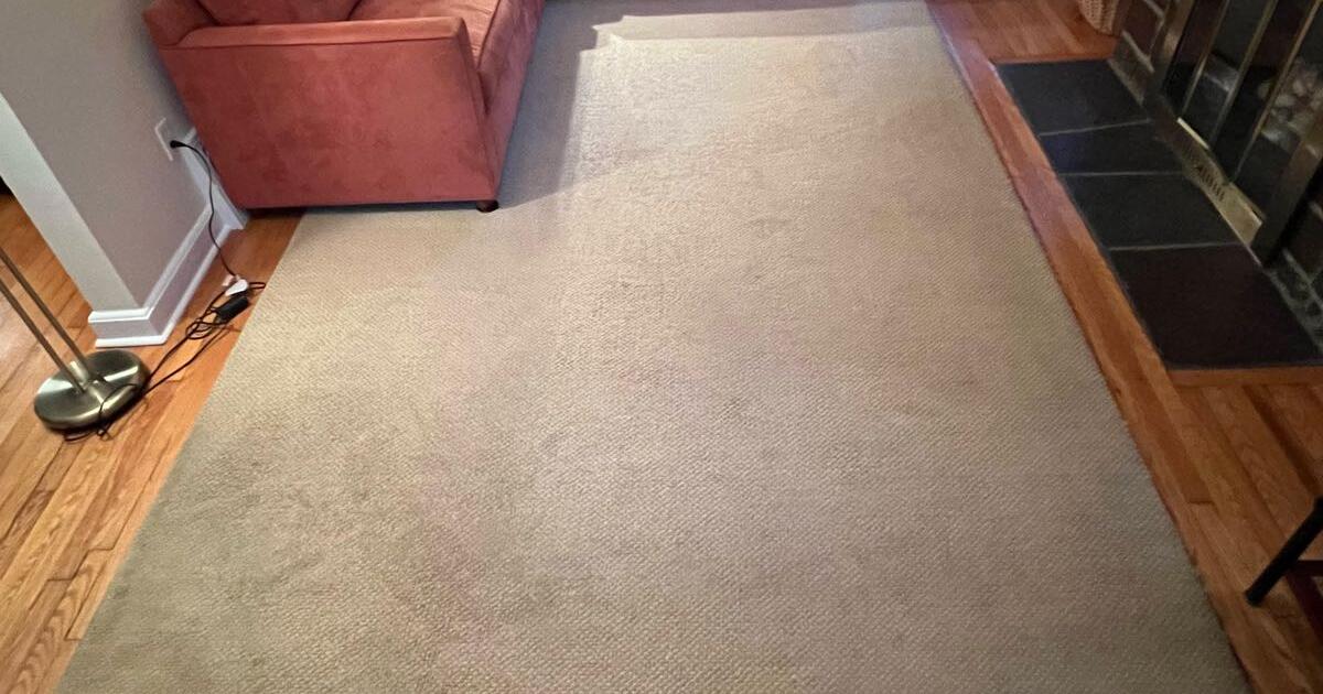 Area rug for Free in Princeton Junction, NJ For Sale & Free — Nextdoor