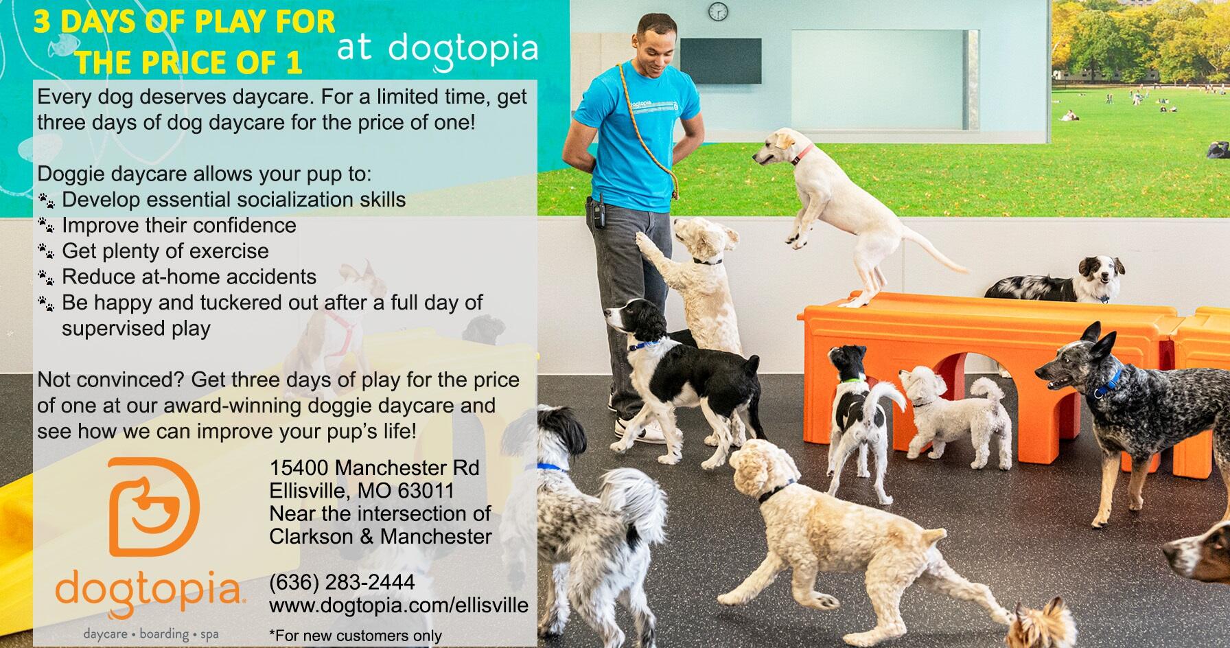 Dogtopia spa hot sale prices