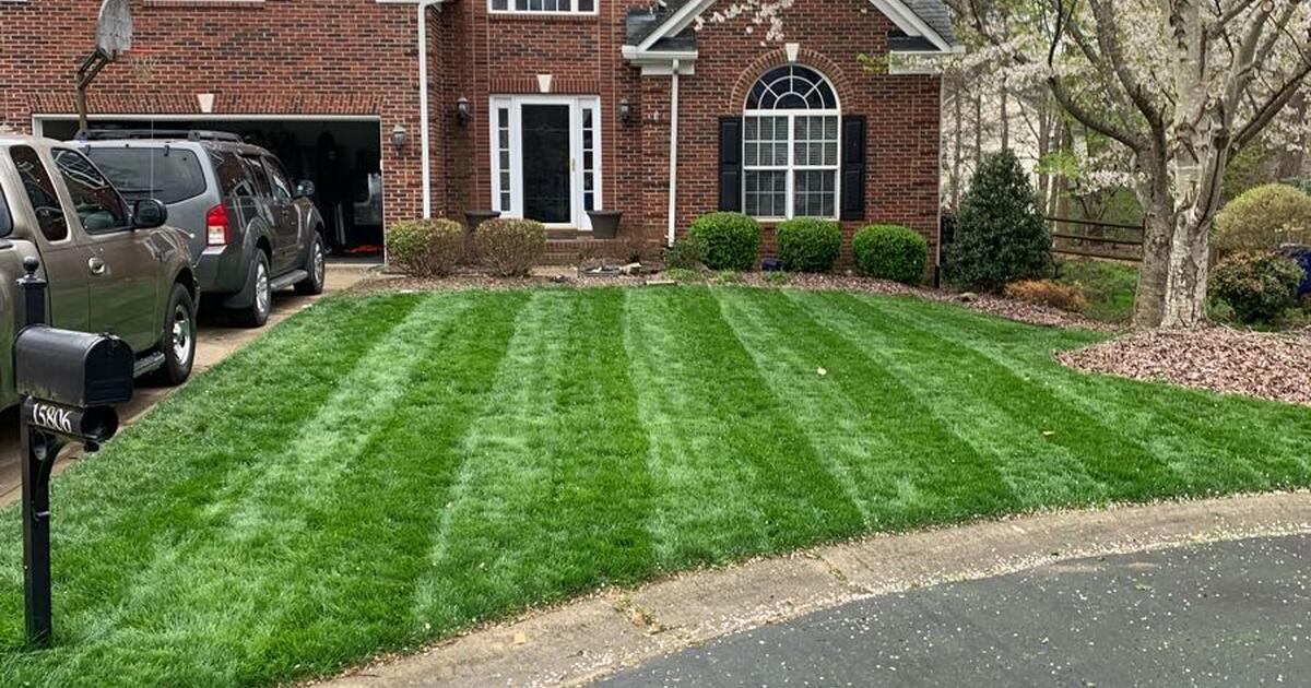 Lawncare/ lawnrenovation for 35 in Huntersville, NC Finds — Nextdoor