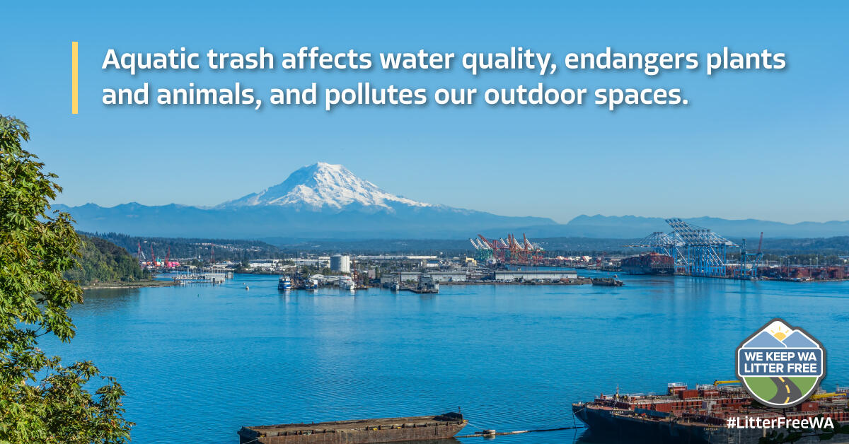 Food packaging, plastic wrappers and bags, beverage containers