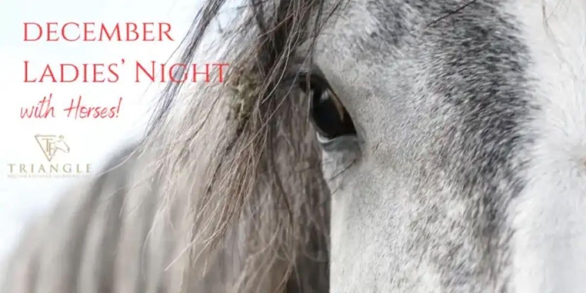 Ladies Night with Horses!