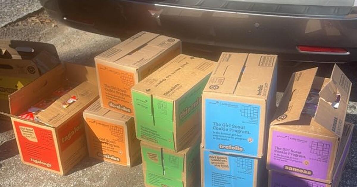 GIRL SCOUT COOKIES🍪 WILL DELIVER for 6 in Roswell, GA For Sale
