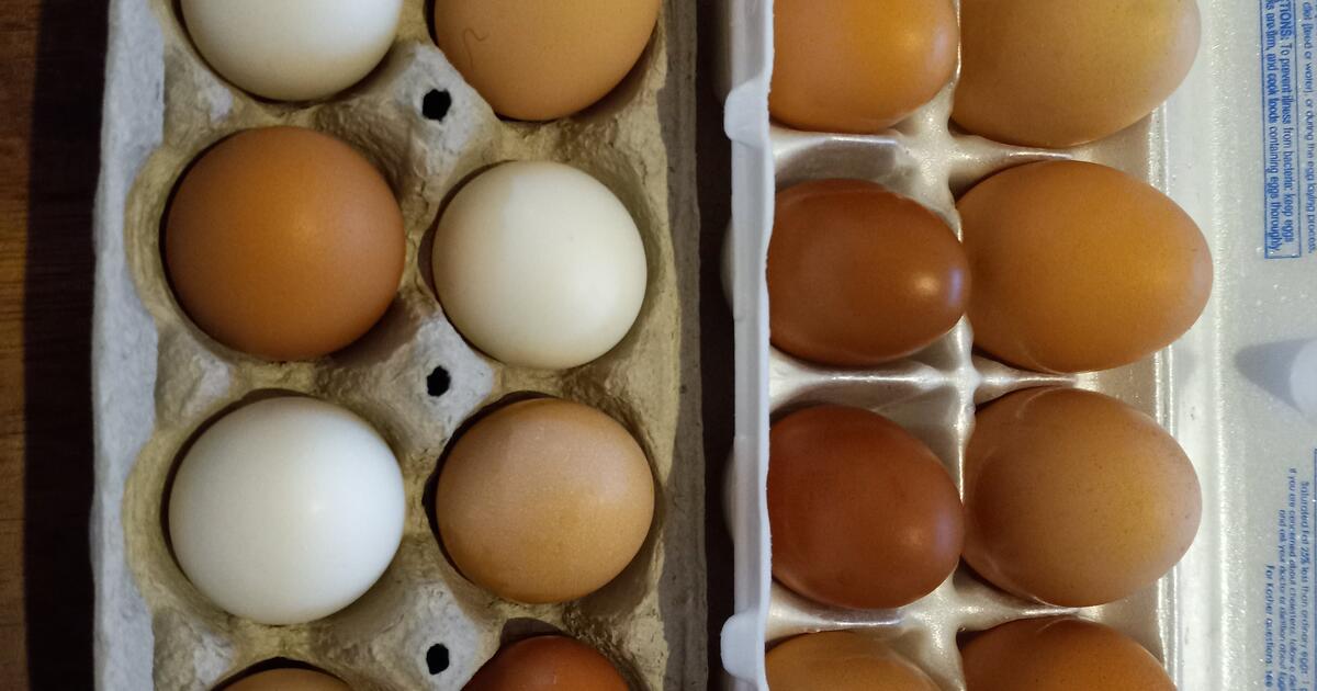 FRESH EGGS FOR SALE in Tucson, AZ For Sale & Free — Nextdoor