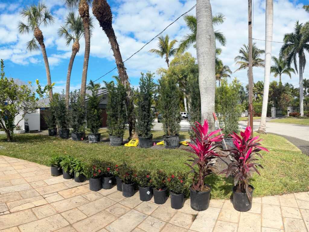 Rock landscaping and bed design