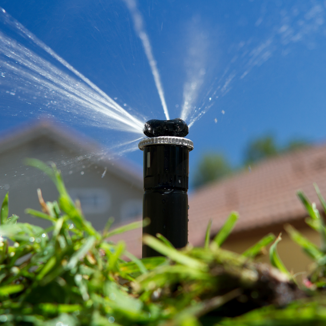 have-you-taken-advantage-of-the-socal-water-mart-residential-rebates