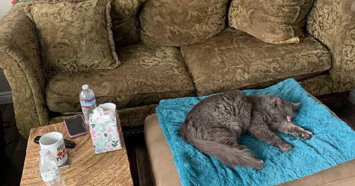 2 couches for Free in Ventura, CA Finds — Nextdoor