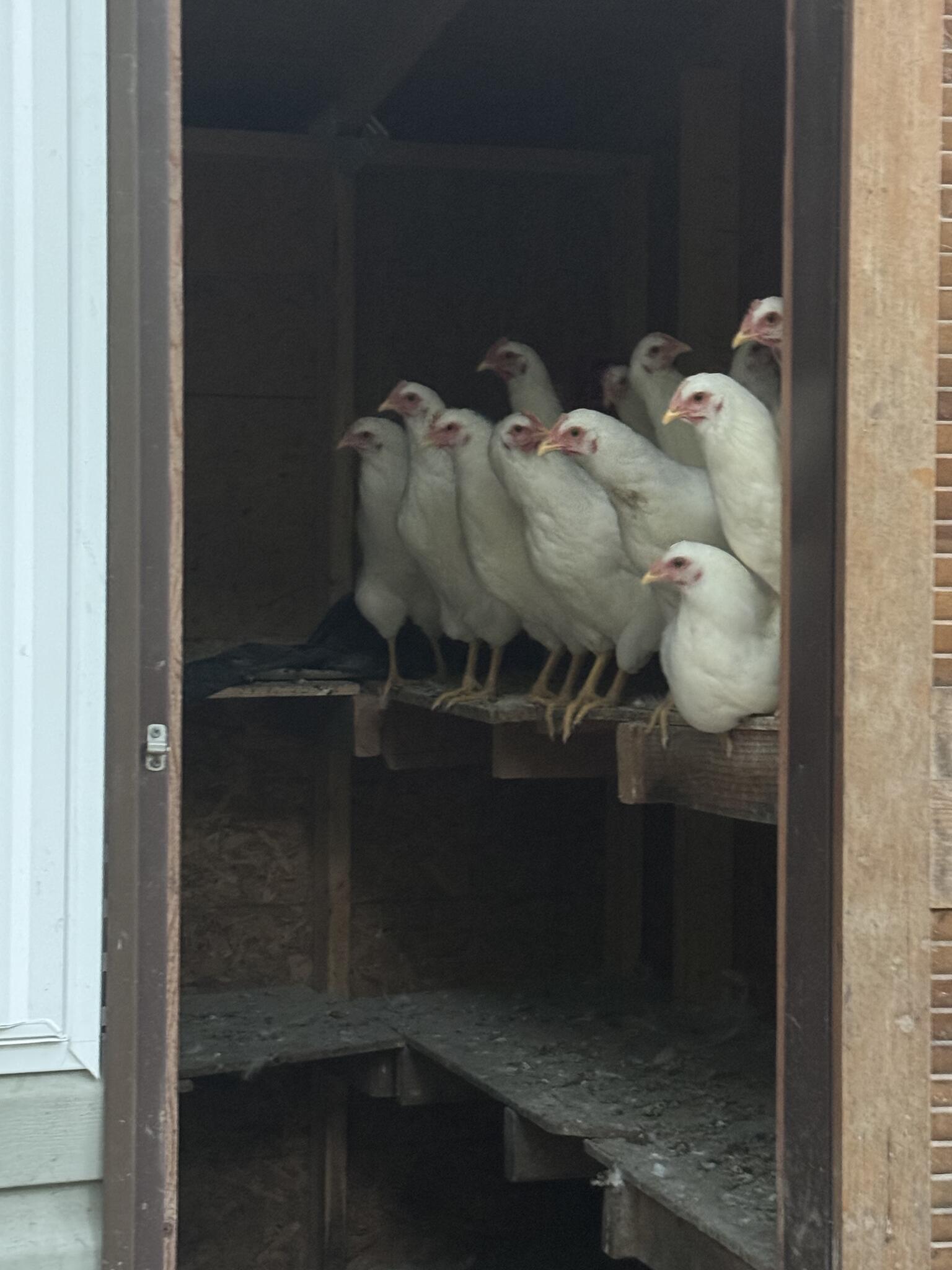 Skunk Hollow Rd, Chalfont Everything You Need to Know