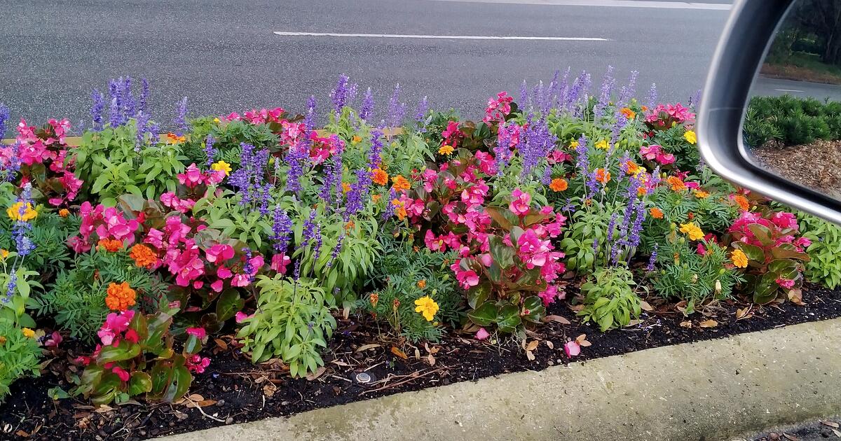 Garage Sale Covered, Rain or Shine for 123456 in Beverly Hills, FL