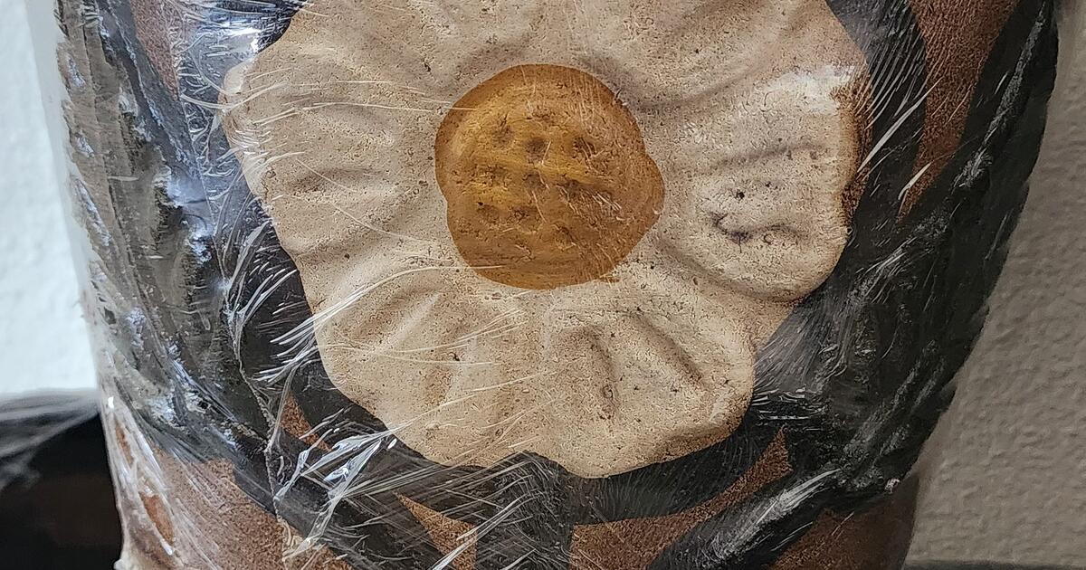 Pots for 20 in San Antonio, TX For Sale & Free — Nextdoor