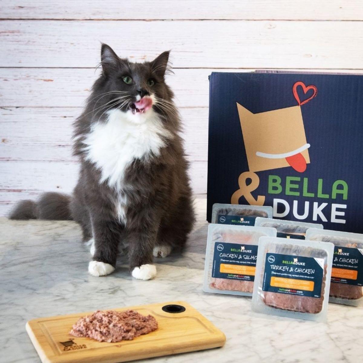 bella cat food