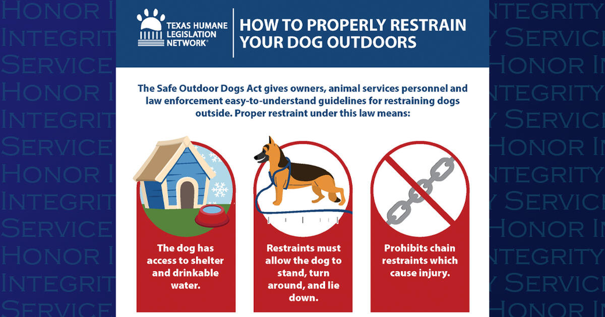 New Dog Tether Laws — Nextdoor