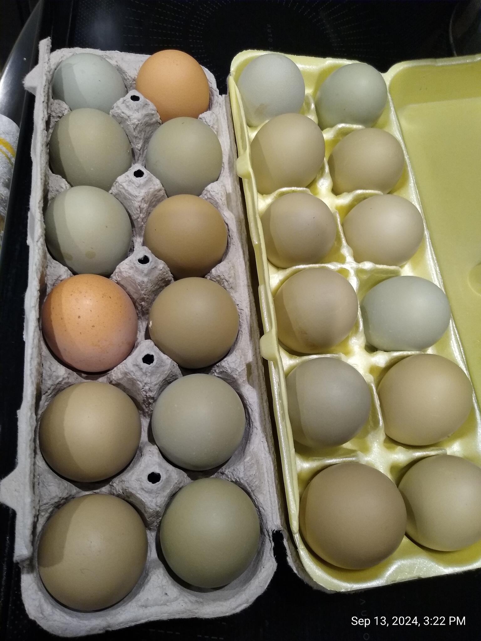 Fresh Farm Eggs