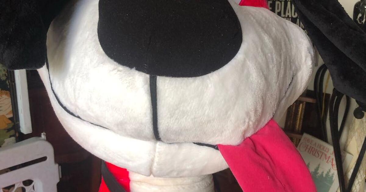 Large Stuffed Puppy Dog For 20 In Dunedin FL For Sale Free Nextdoor large-stuffed-puppy-dog-for-20-in-dunedin-fl-for-sale-free-nextdoor