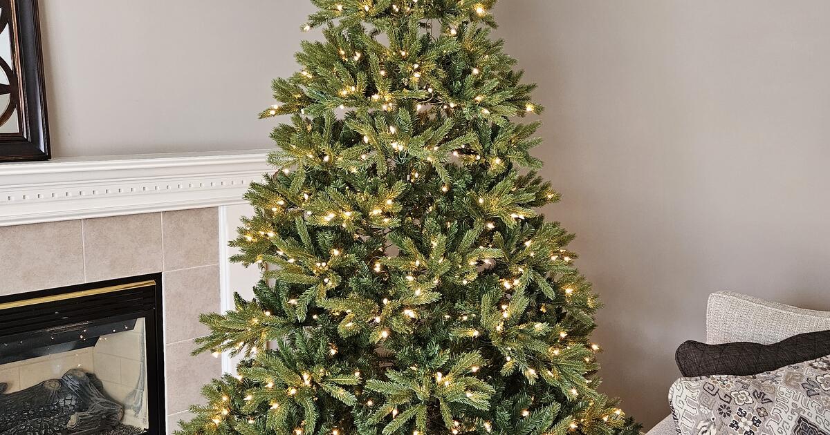 Christmas Tree for 50 in East Greenbush, NY For Sale & Free — Nextdoor