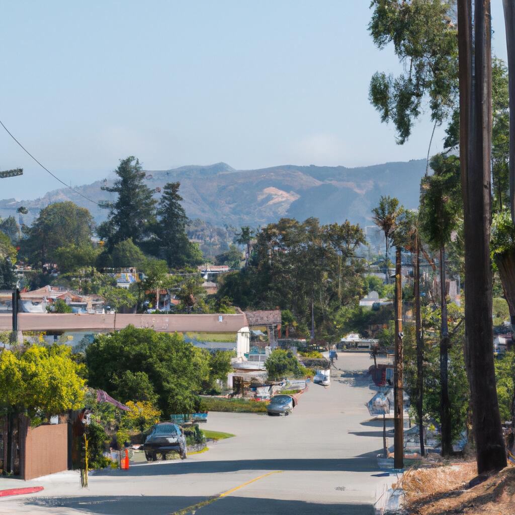 El Camino San Simeon, Santa Barbara News, Crime, Lost Pets, Free Stuff