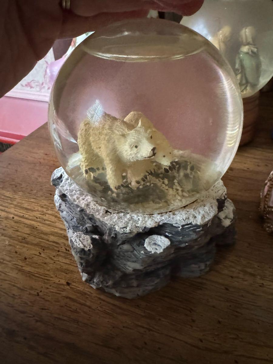 Snow Globe