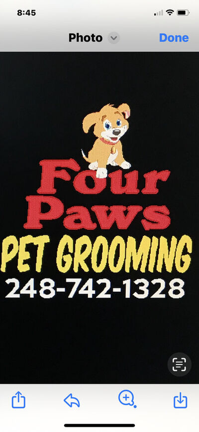 Four paws pet 2024 grooming