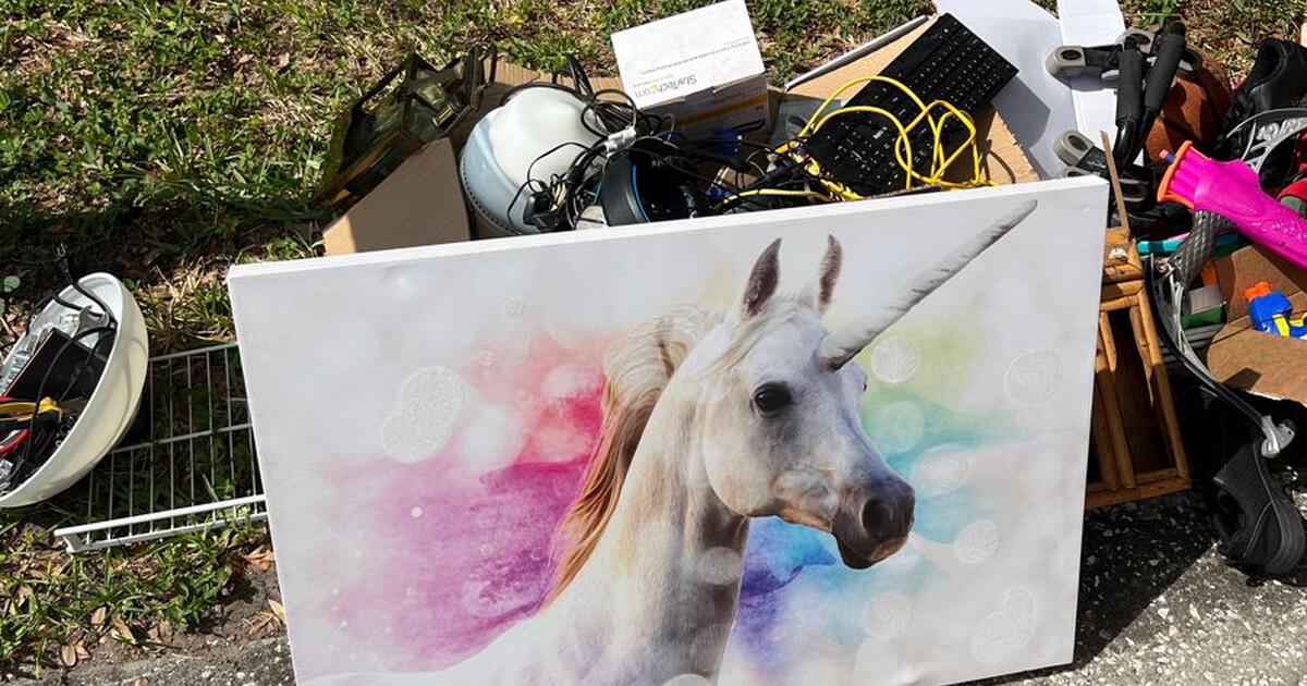 Hutch, toys, ceiling fan, electronics, unicorns! for Free in Brandon