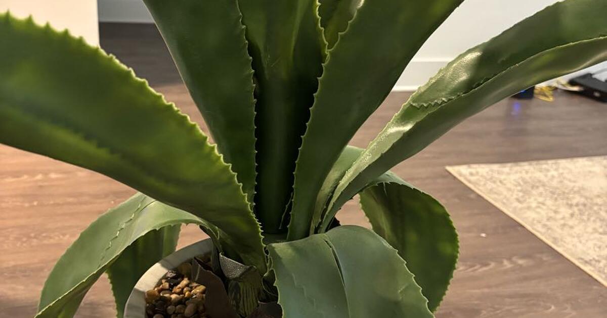 Outdoor Events In Henderson Nc This Weekend Outdoor Events In Henderson Nc This Weekend