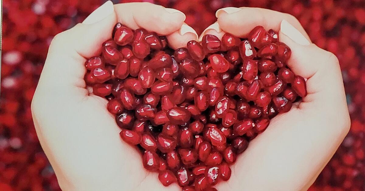 custom-canvas-photo-print-for-50-in-estero-fl-for-sale-free