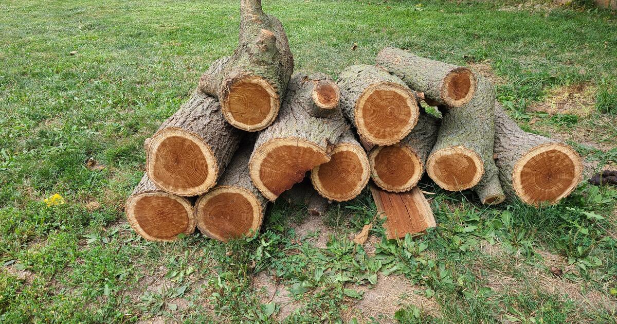 Firewood for Free in Indianapolis, IN Finds — Nextdoor