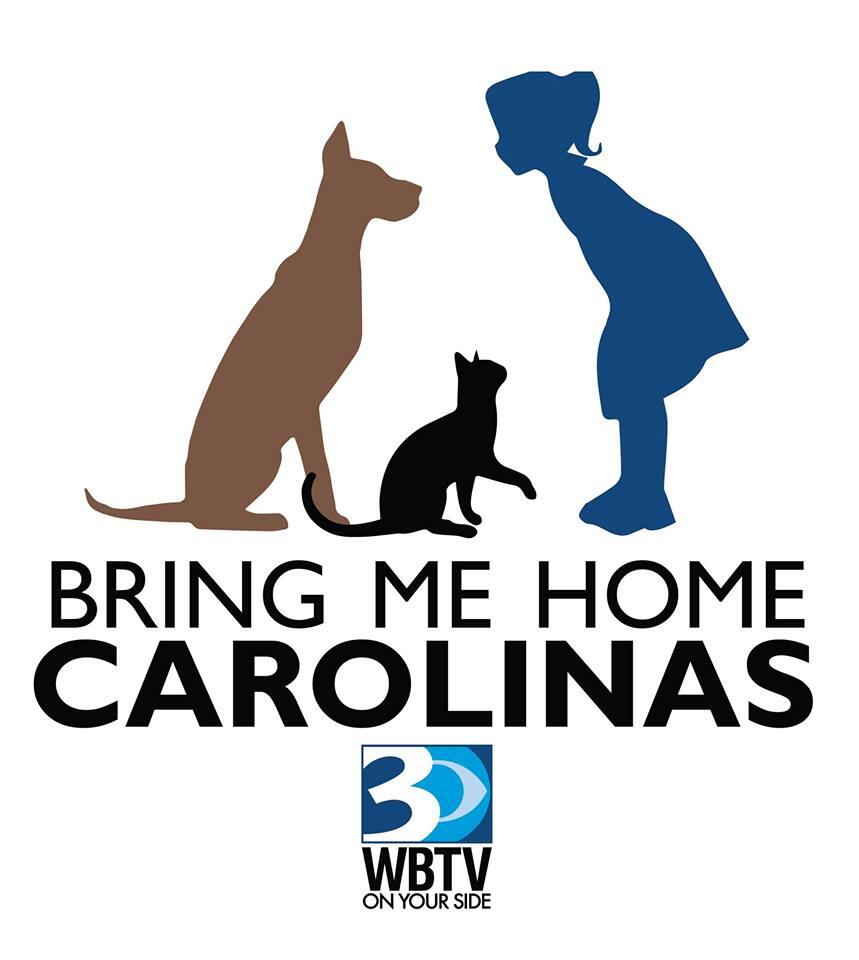 Gaston County Animal Care and Enforcement to host Bring Me Home Carolinas  adoption event (Gaston County Police Department) — Nextdoor — Nextdoor