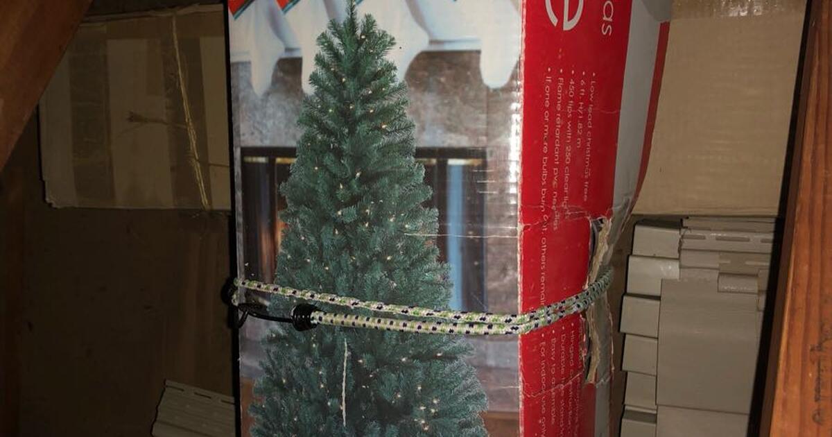 Christmas tree for Free in Herndon, VA Finds — Nextdoor