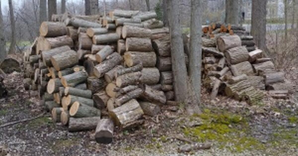 Unsplit firewood for sale for 20 in Chesterland, OH For Sale & Free