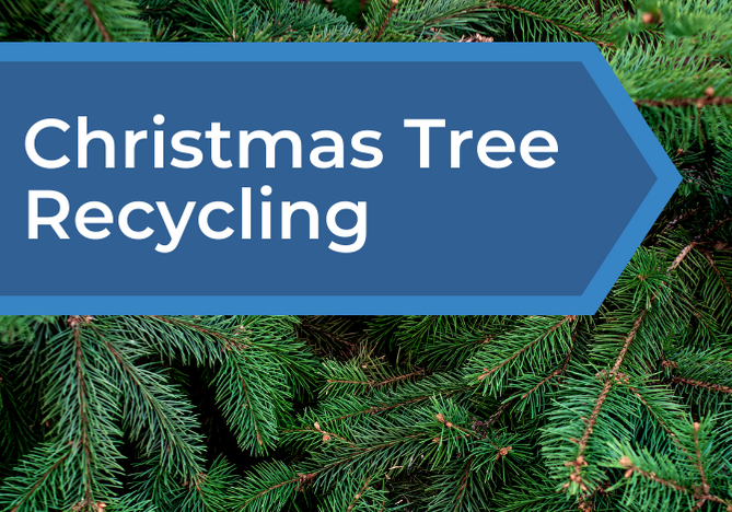 Christmas Tree Drop Off 2022 Frederick Md Christmas Tree Drop Off/Recycling (City Of Frederick) &Mdash; Nextdoor —  Nextdoor