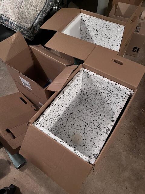 Does anyone need free cardboard boxes?