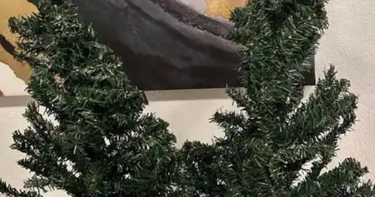 Farmhouse Christmas trees for 10 in Fresno, CA For Sale & Free — Nextdoor