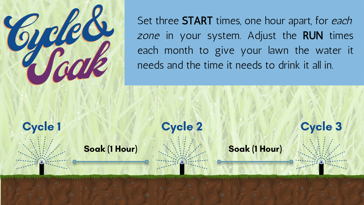 Cycle, Soak, Repeat (East Cherry Creek Valley Water & Sanitation