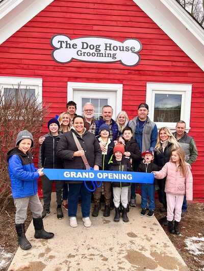 My dog online house grooming