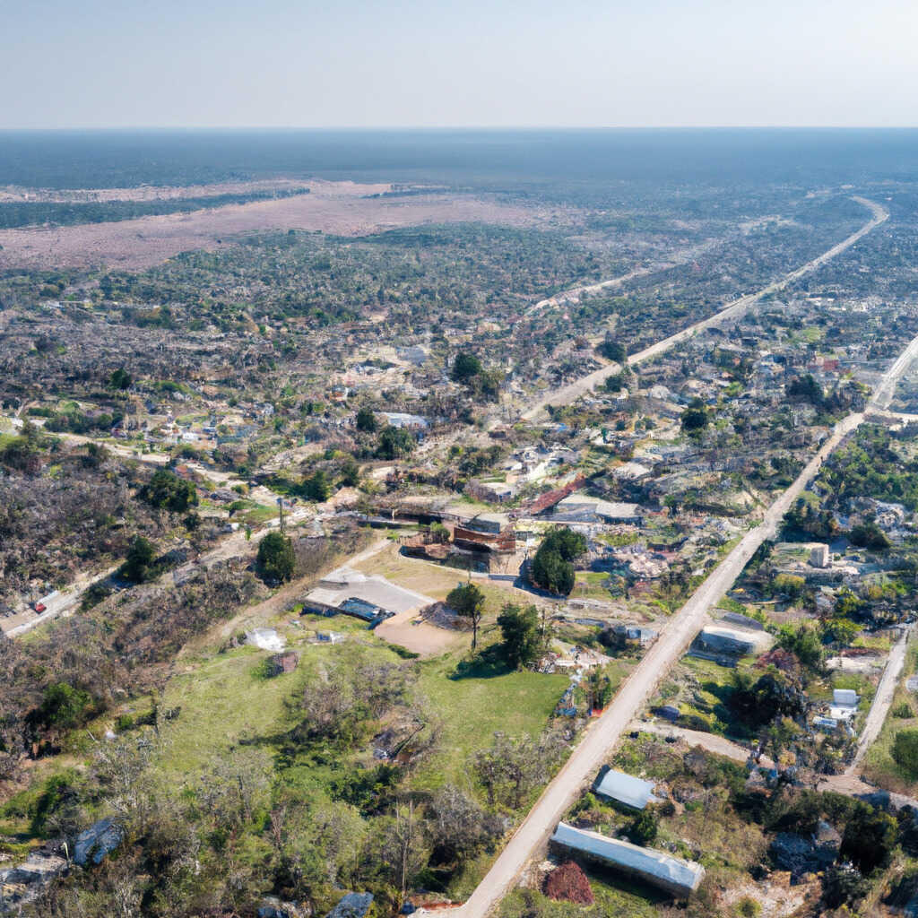 Wynne, AR News, Crime, Lost Pets, Free Stuff