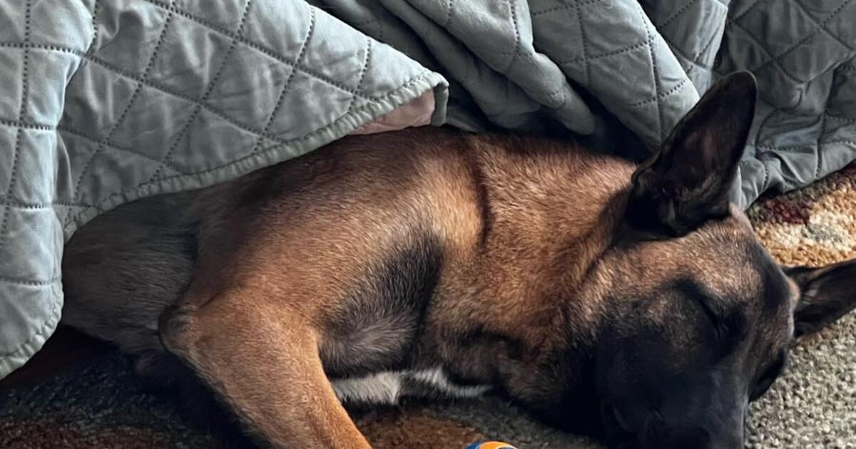 Good Cheap Cars For Sale Tucson Az Good Cheap Cars For Sale Tucson Az