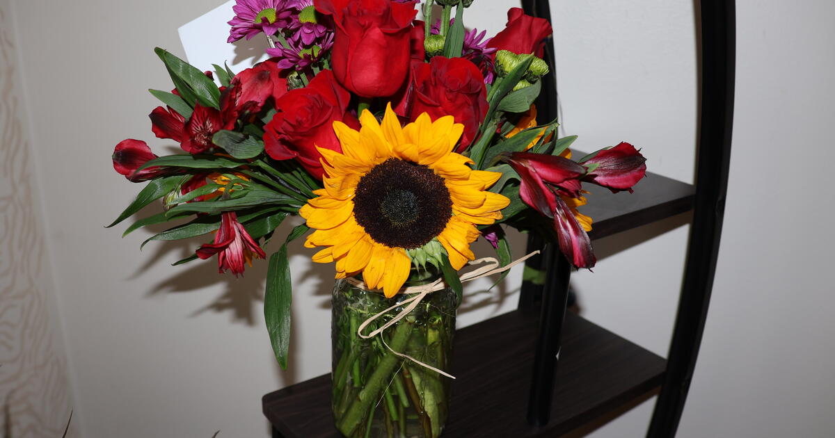 2 clean gently used twin mattresses for bunk beds for Free in Omaha, NE