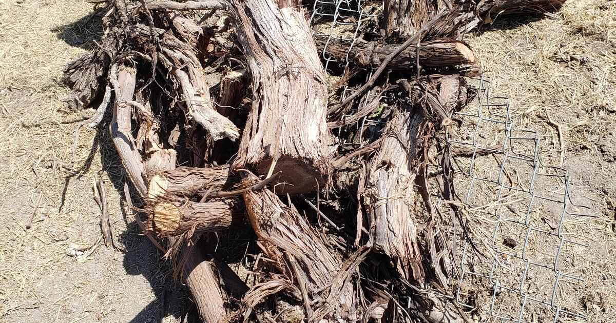 Free Branches Wood Firewood for Free in West Jordan, UT For Sale