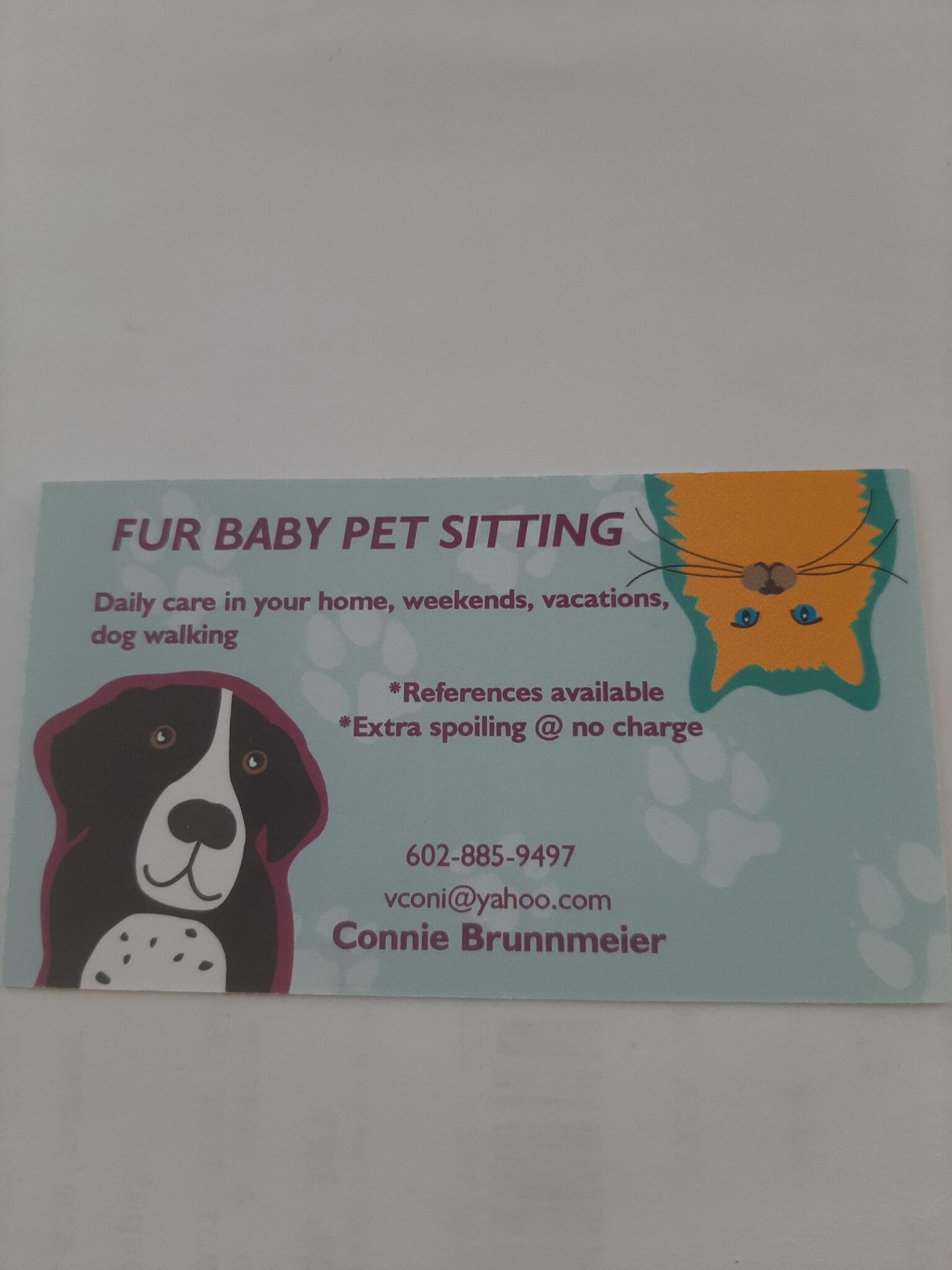 Furbaby store pet sitters