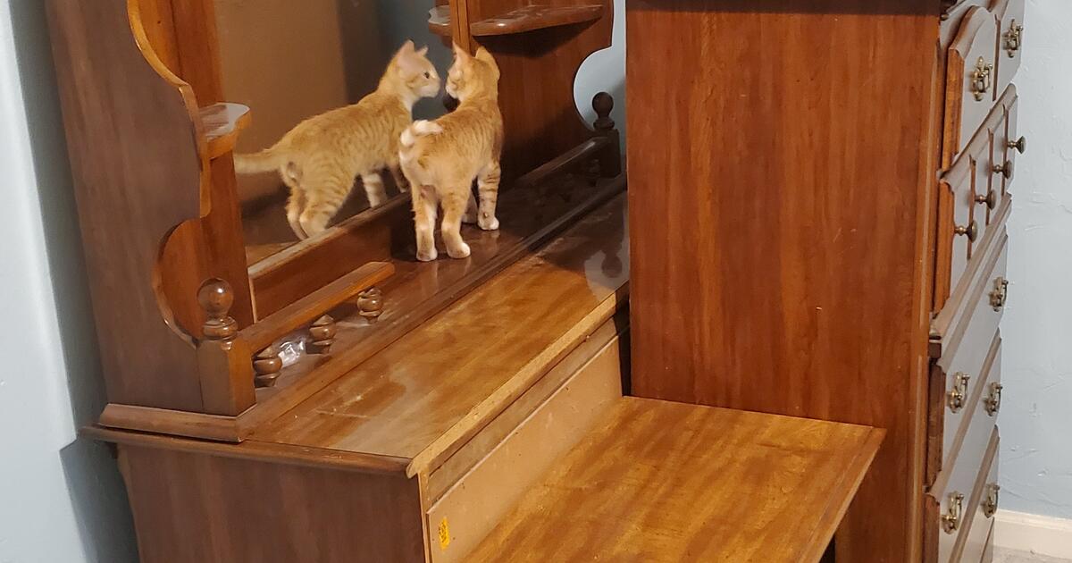 Bedroom Set for 200 in Tallahassee, FL For Sale & Free — Nextdoor