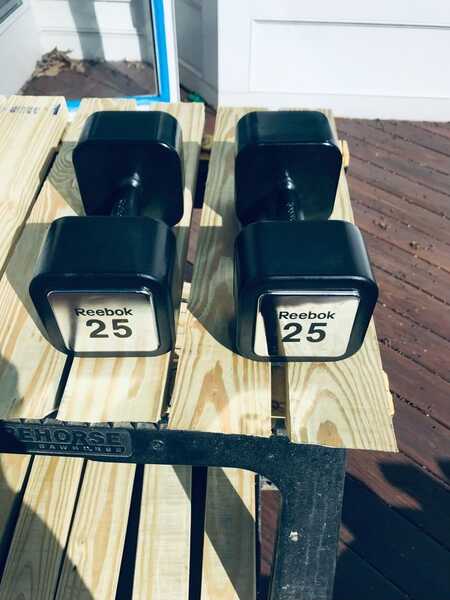 Reebok 25 lb discount dumbbell