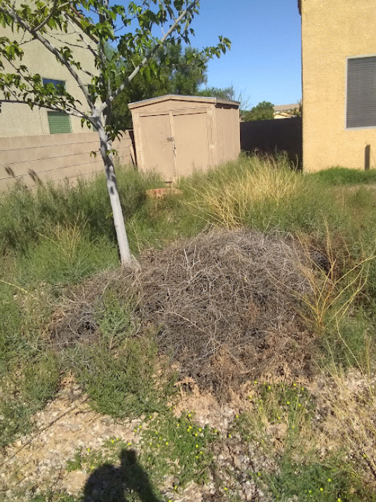 Landscaping for free in tucson az for sale free nextdoor