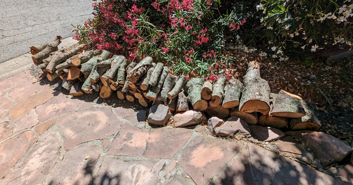 FREE Oak firewood for Free in Lafayette, CA For Sale & Free — Nextdoor