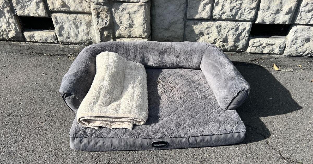 Beautyrest Pet Bed Costco Beautyrest Pet Bed Costco