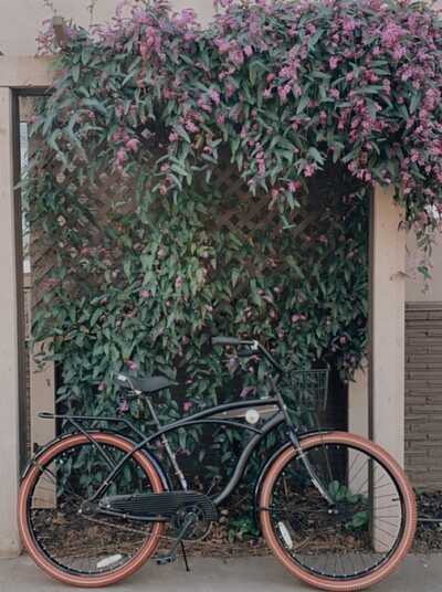 Trek best sale bikes midtown