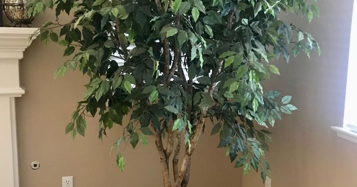 6’ artificial decorative trees for 10 in Roseville, CA For Sale