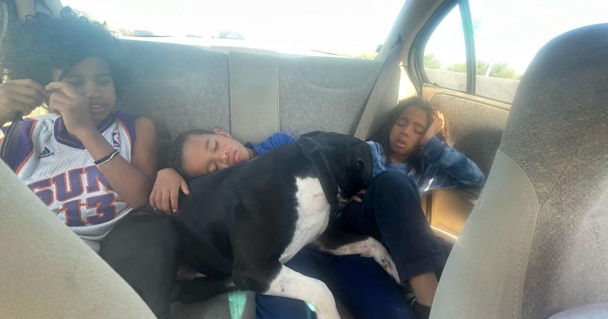 House cleaning in Mesa, AZ Finds — Nextdoor