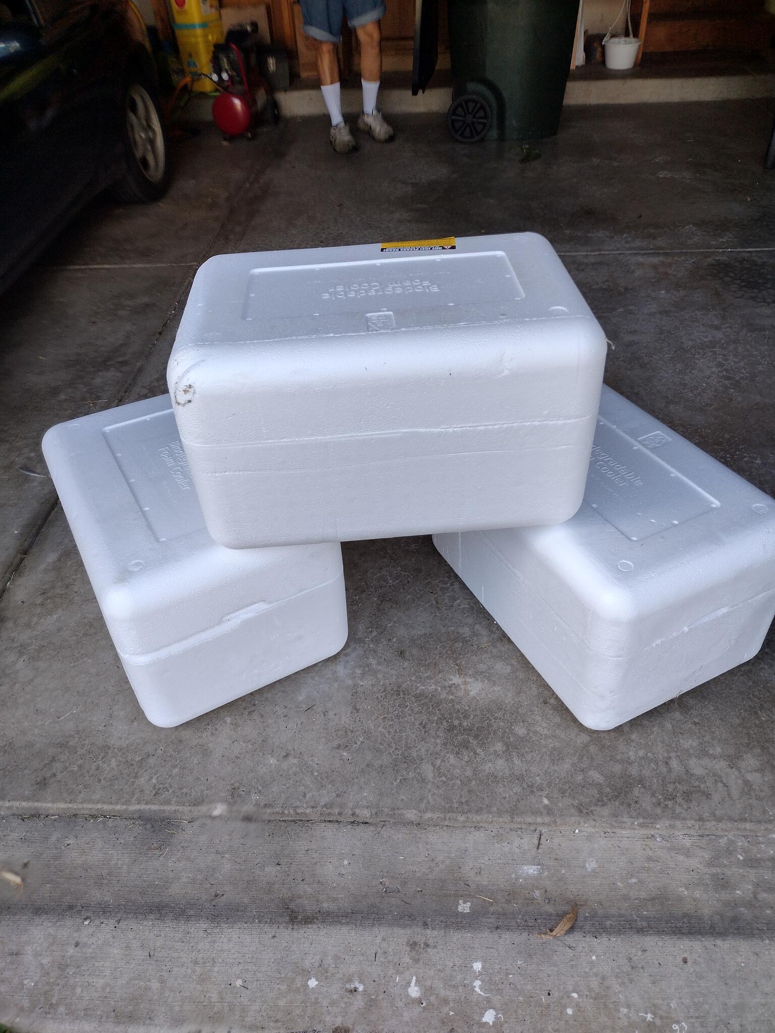 2 Styrofoam coolers Left, for Free in Algonquin, IL For Sale & Free — Nextdoor