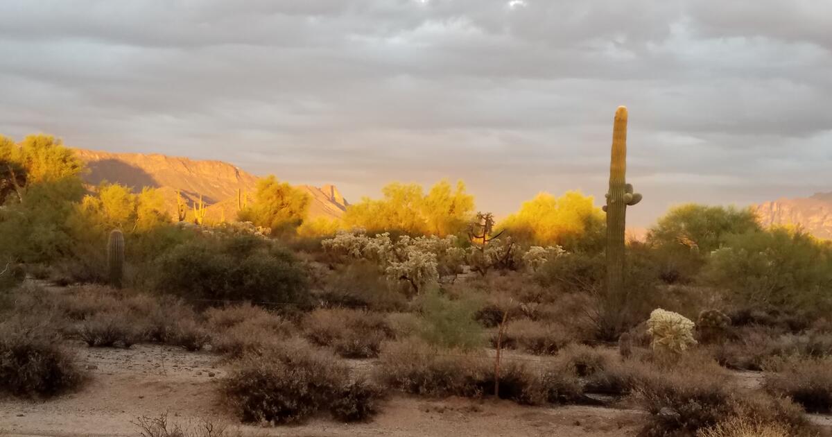 BOULDER MOUNTAIN HIGHLANDS COMMUNITY GARAGE SALE!!!! for Free in Mesa