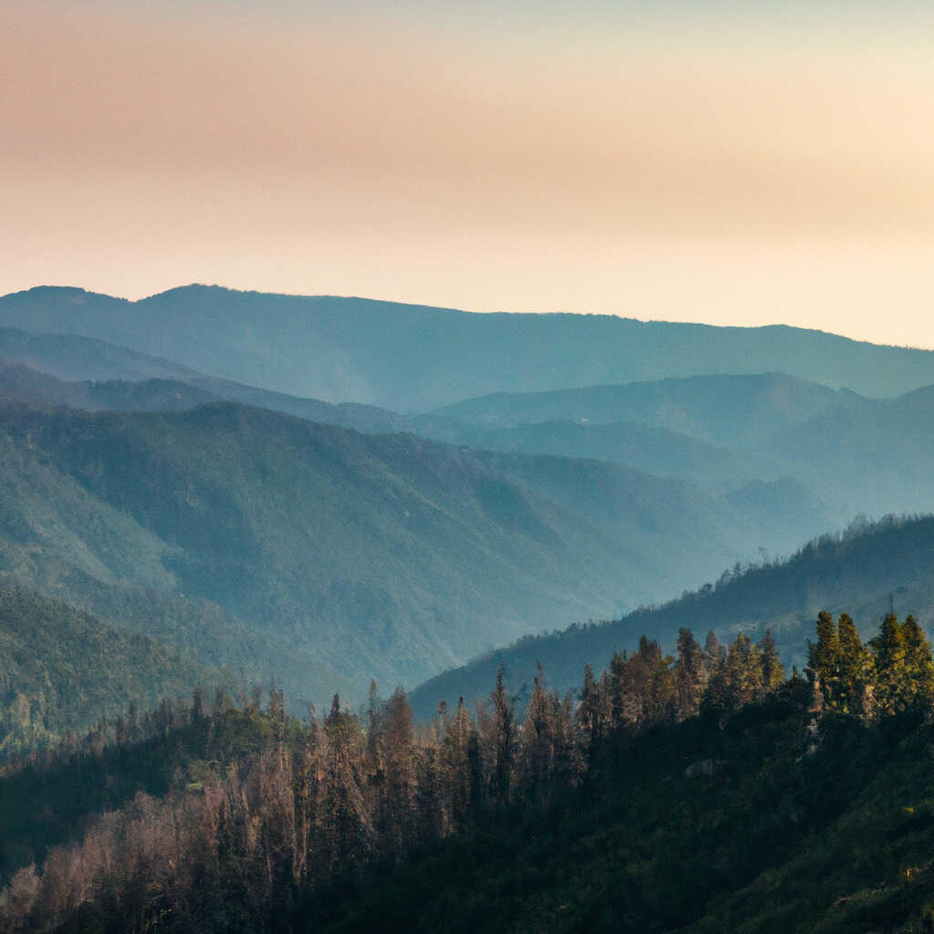 Sequoia National Park, Ca 